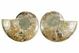 Cut & Polished Crystal-Filled Ammonite Fossil - Madagascar #354107-1